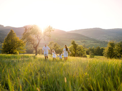 Яке свято відзначають 8 липня