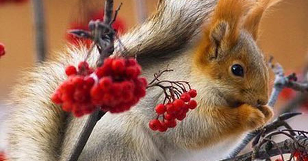 Скачать прикольные и красивые картинки Очаровательные