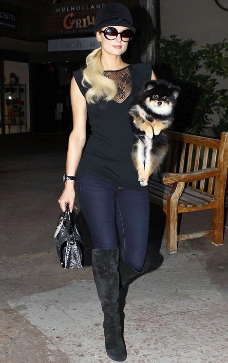 Періс Хілтон