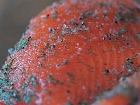 Красная рыба – солим сами Красная рыба – солим сами