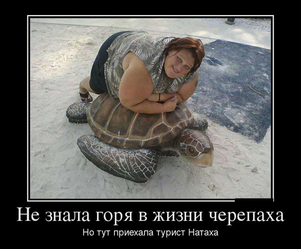 ТОП лучших демотиваторов
