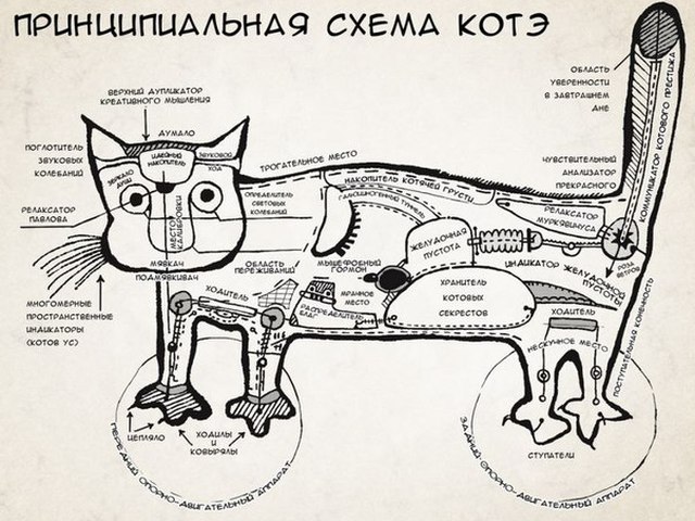 Точка g как найти схема фото 457