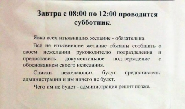 Маразмы месяца