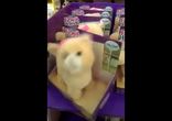 Игрушечное безумие