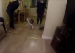 Третий лишний!