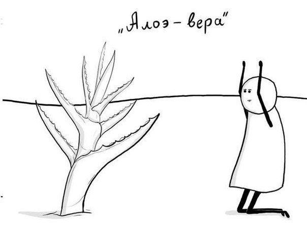 В буквальном смысле...