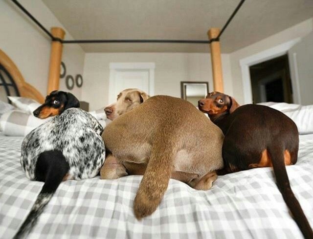 Мимимишный пост