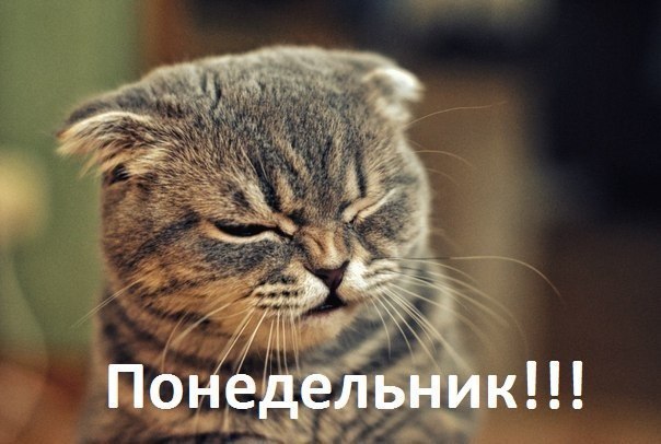 НЕТ!!! Опять этот понедельник...