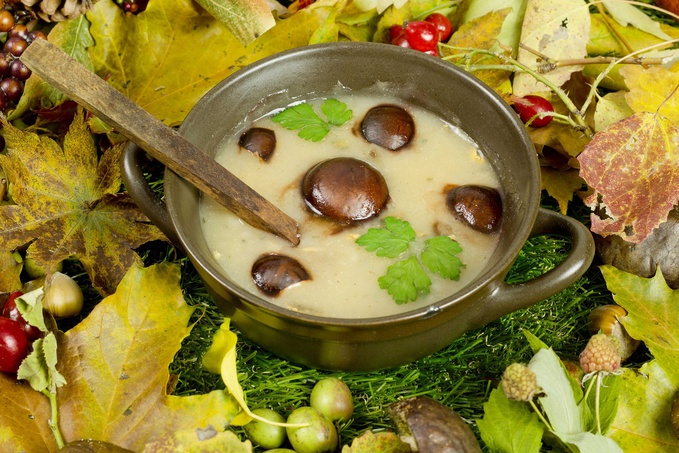 Суп из лесных грибов - простой рецепт