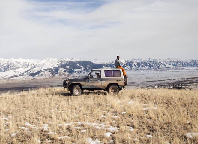 Невероятные приключения собаки-путешественницы Мэдди по Америке