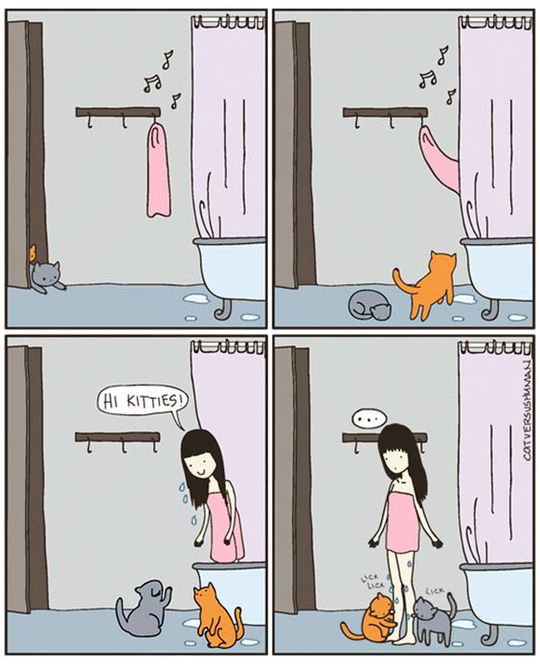 Комиксы про котов