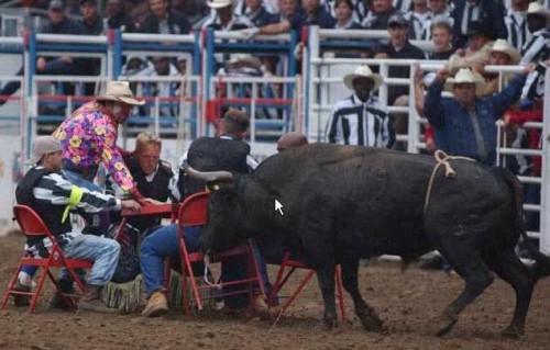 Смешные фото