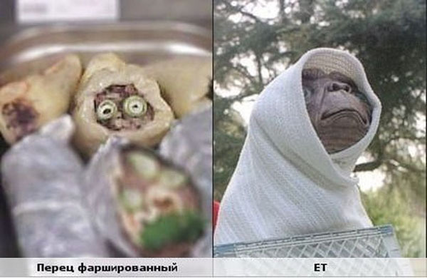 Забавные сходства. Прикольная подборка
