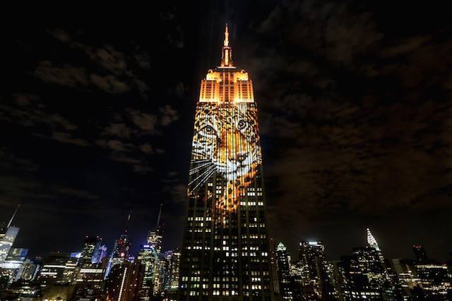 Эмпайр Стейт билдинг