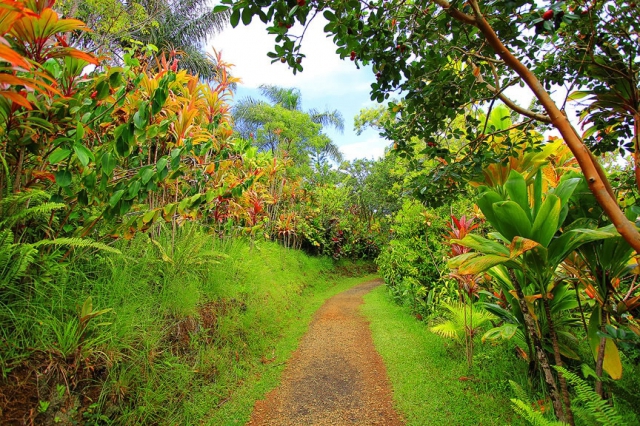 сади острова Мауї
