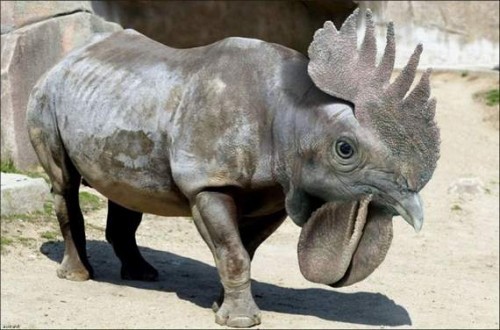 Последствия Чернобыля