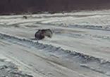 16.02.2008 ТЕХНОРИНГ    