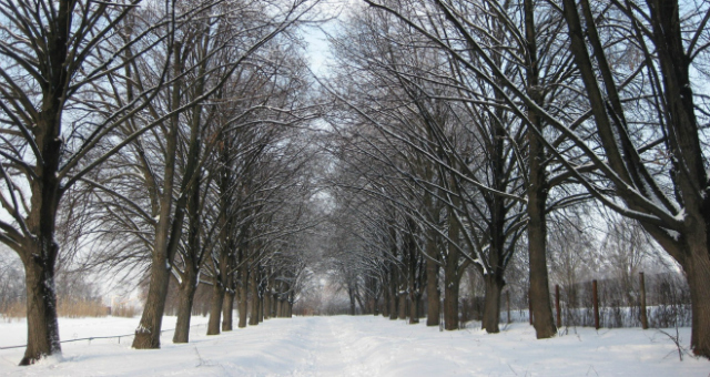 День святого Валентина в Киеве: ТОП-10 самых романтичных мест столицы