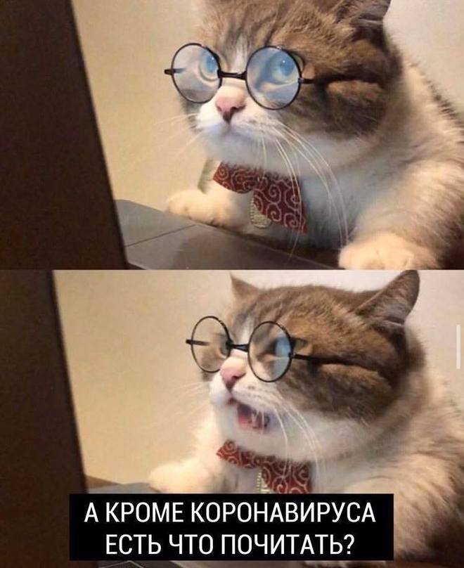 Один коронавирус
