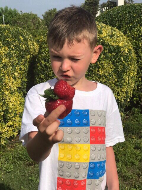 Дети Квартала 95