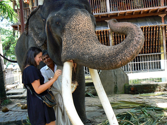 5 причин поехать в Коломбо: зоопарк Коломбо
