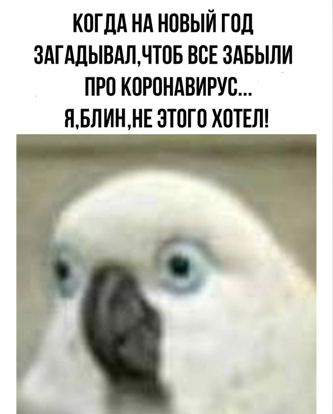 Нет войне! Желание на Новый год