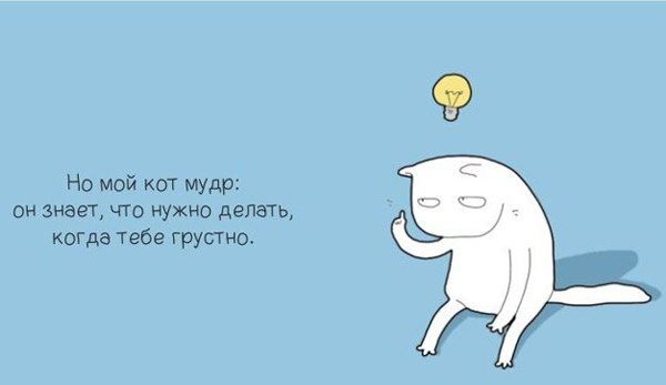 Когда моему коту грустно