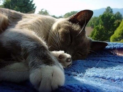 Работаю над стрессоустойчивостью