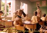 Окна, конечно VEKA
