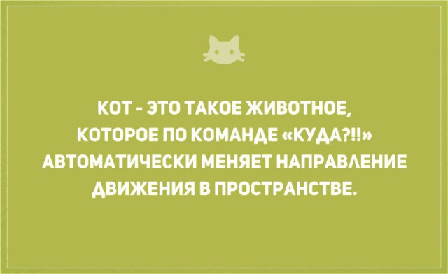 Без кота и жизнь не та