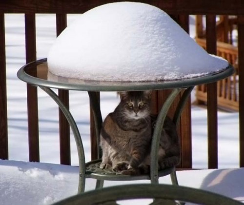 Работаю над стрессоустойчивостью