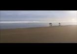 Elliphant - Down On Life