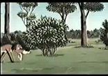Жил был пес