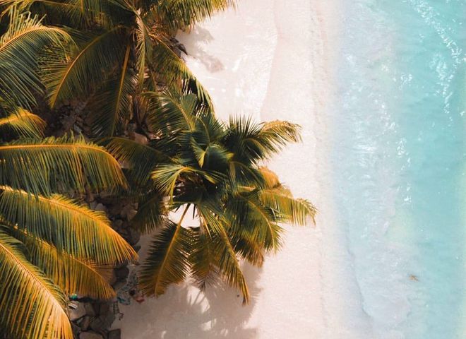 Африка: интересные факты о самом жарком континенте