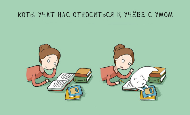 Без кота и жизнь не та