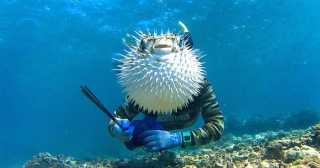 Ах, нет... показалось