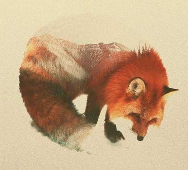 Животные и их среда обитания в одной картине от Андреас Ли
