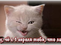 Позитивные открытки с 1 апреля