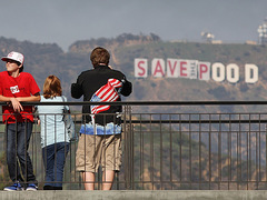 Надпись Голливуд
