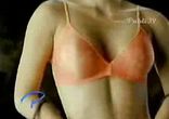 PlayTex