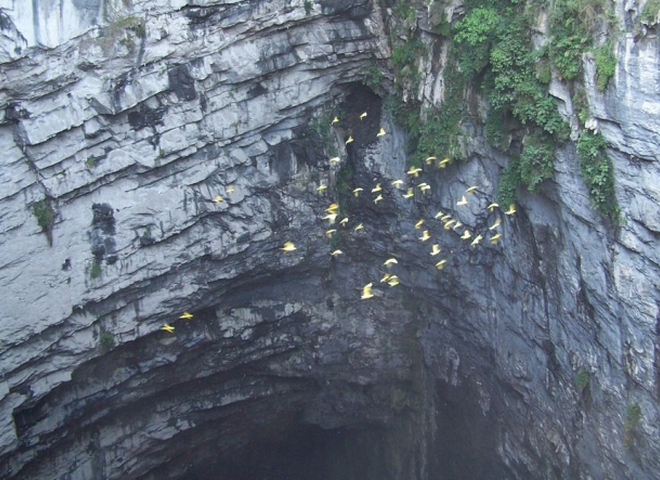 Печера Ластівок