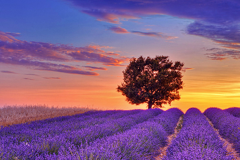 Кинотуризм: 7 невероятных пейзажей из фильмов