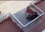 Полёты во сне и наяву... Скейт - ракета