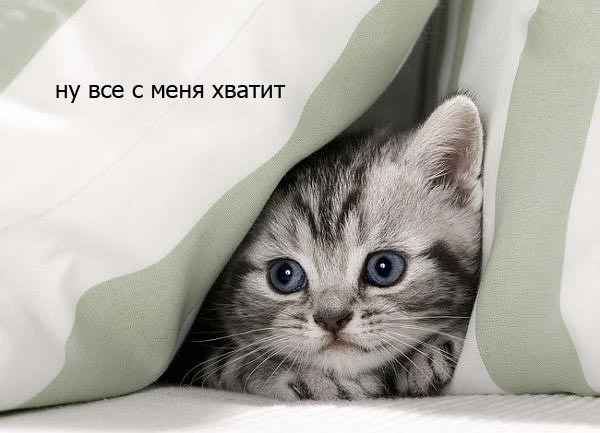 Доброе утро!! Пятница!!