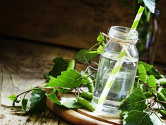 Рецепты березового сока