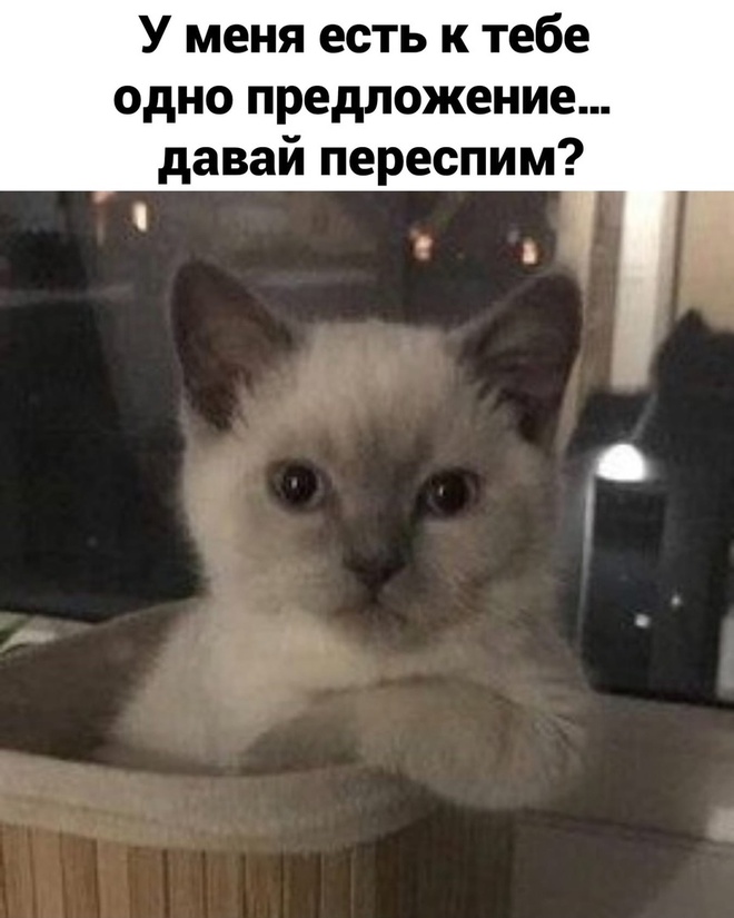 Давай переспим?