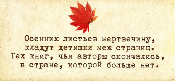 Весёлые картинки с текстом