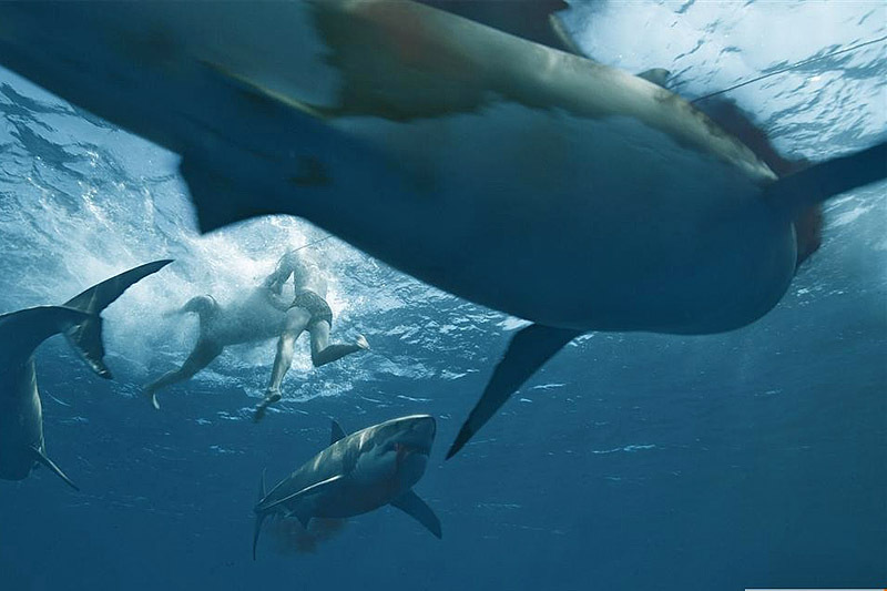 Фильмы о путешествиях: Кон-Тики