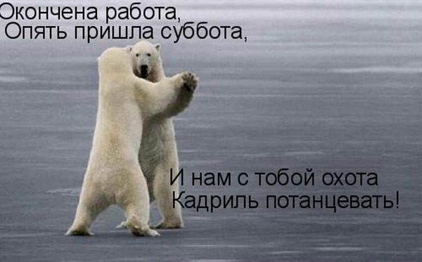 Няшки и суббота