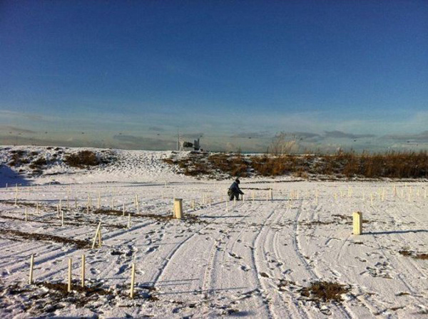 Портрет невероятных размеров снегом и землей с помощью экскаватора